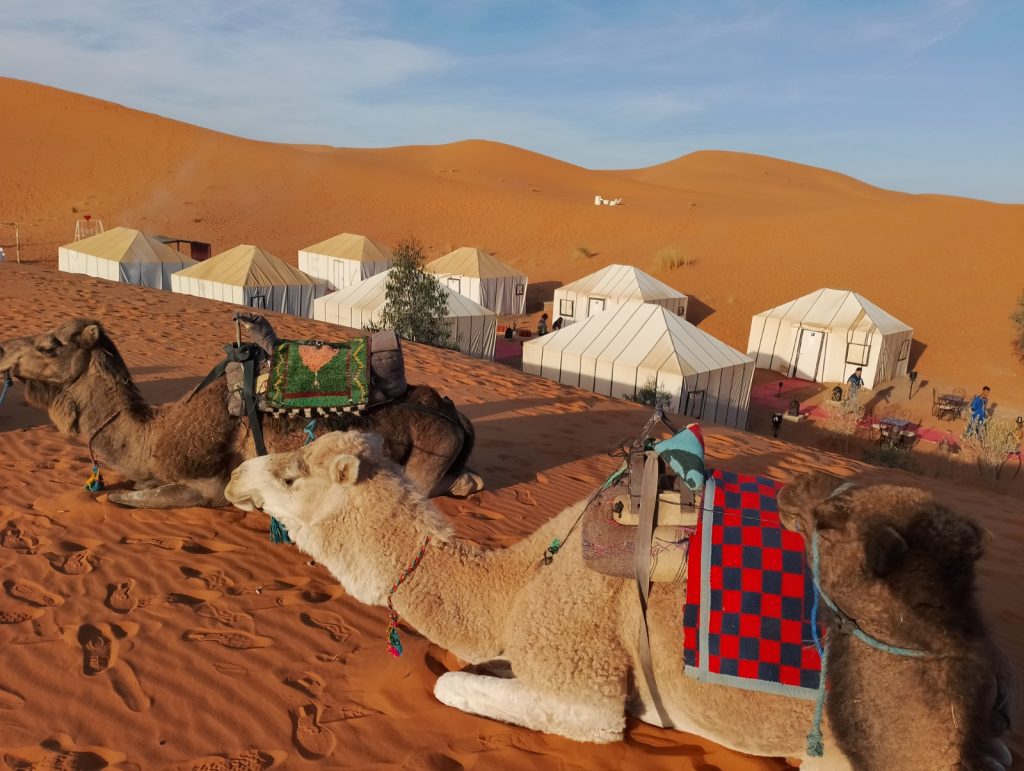 5 Giorni Da Marrakech A Fes