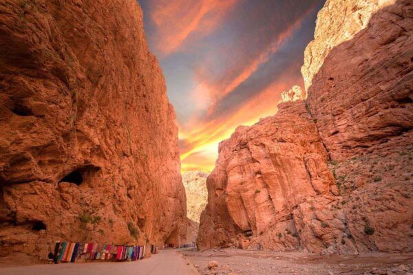 Montagna del medio atlante - Viaggio in Marocco