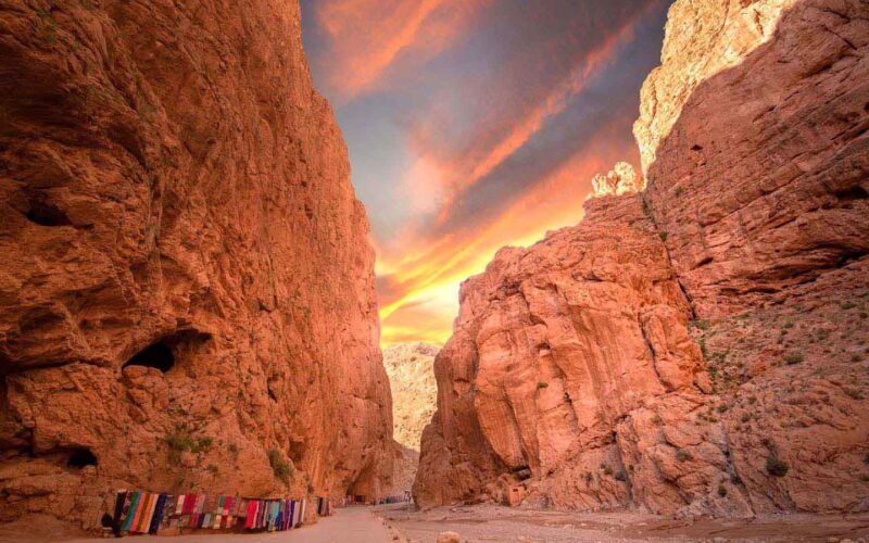 Montagna del medio atlante - Viaggio in Marocco