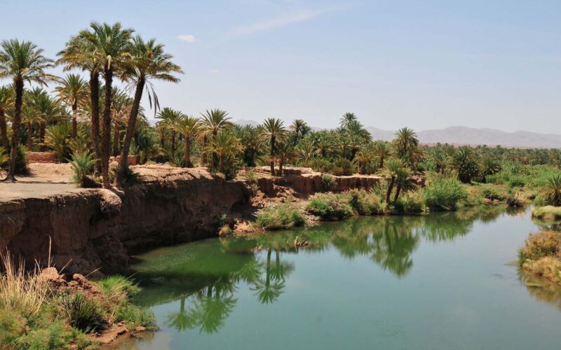 VALLE DEL DRAA - Viaggi in marocco