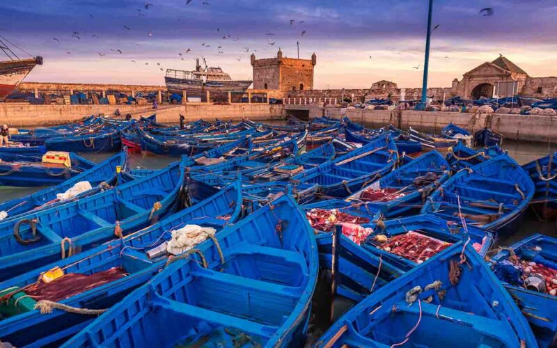 Viaggio a Essaouira - Viaggi in Marocco1