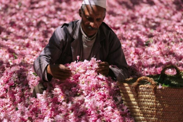 valle delle rose - viaggi in marocco