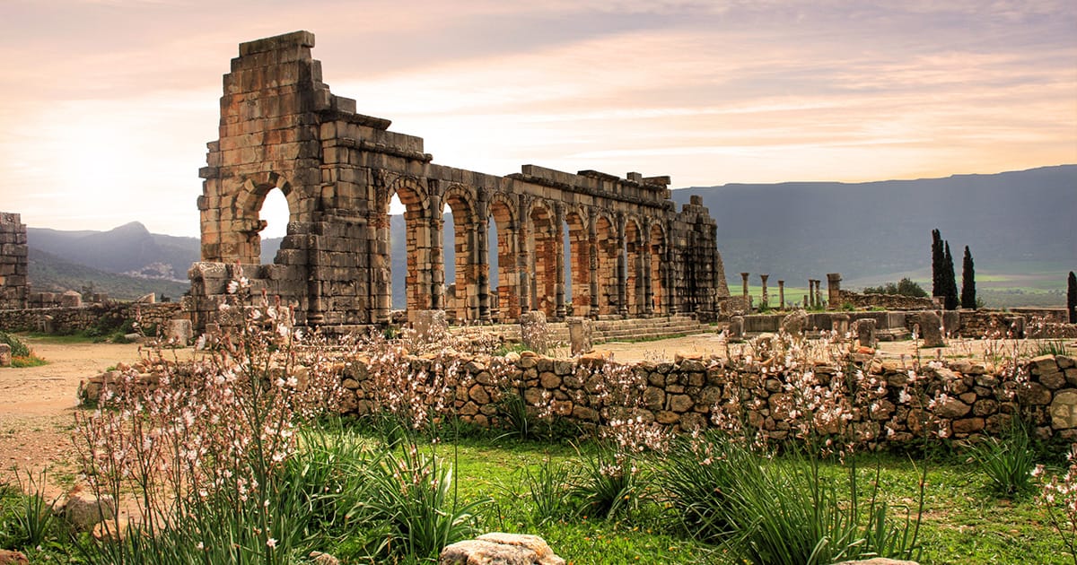 Le rovine di Volubilis - Blog - Feel Merzouga Trips