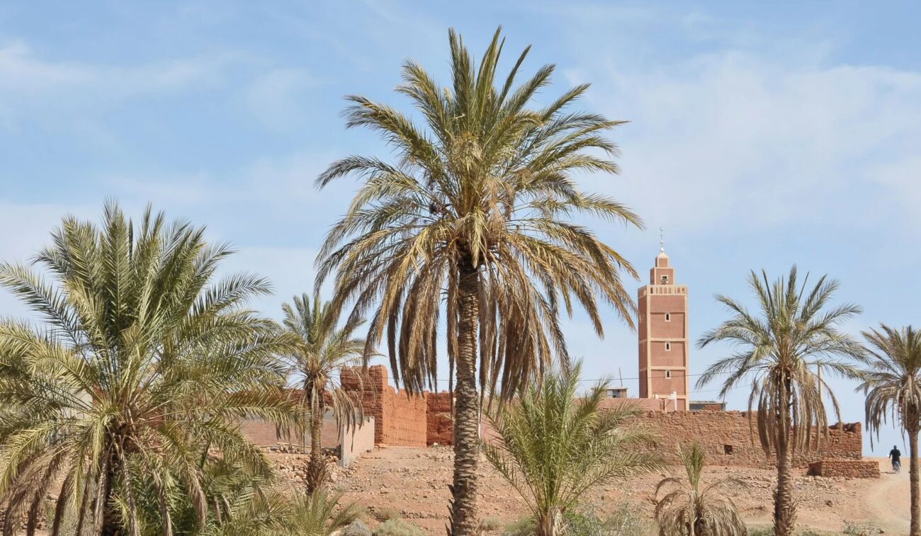 Erfoud la porta del deserto 2