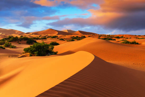 Erg Chebbi - Le Dune del Deserto