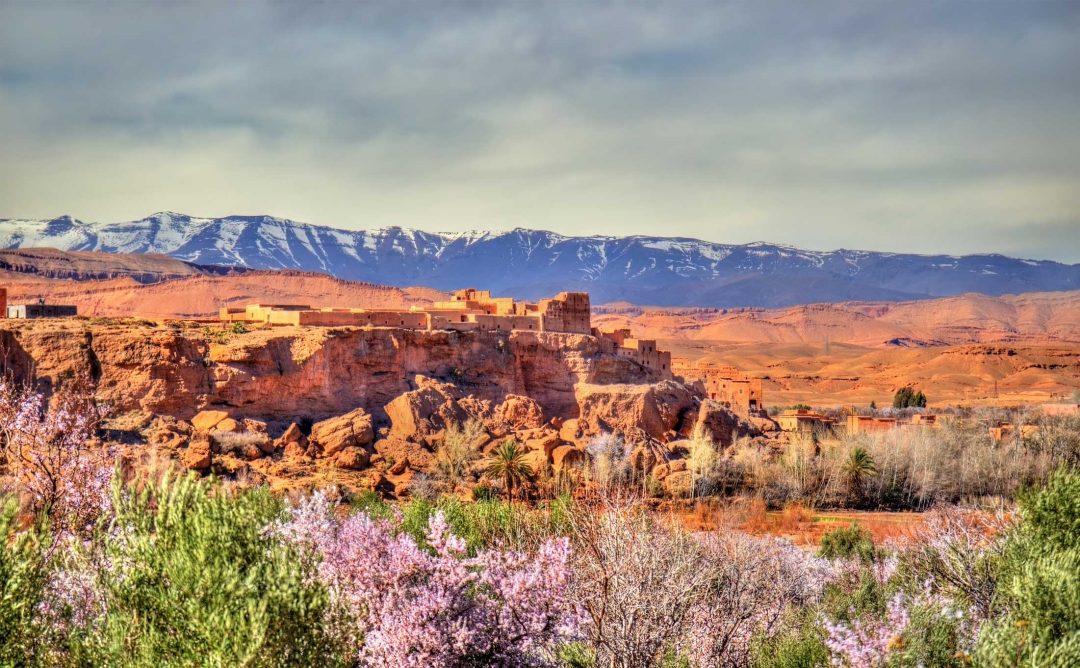 La Valle delle Rose - Marocco