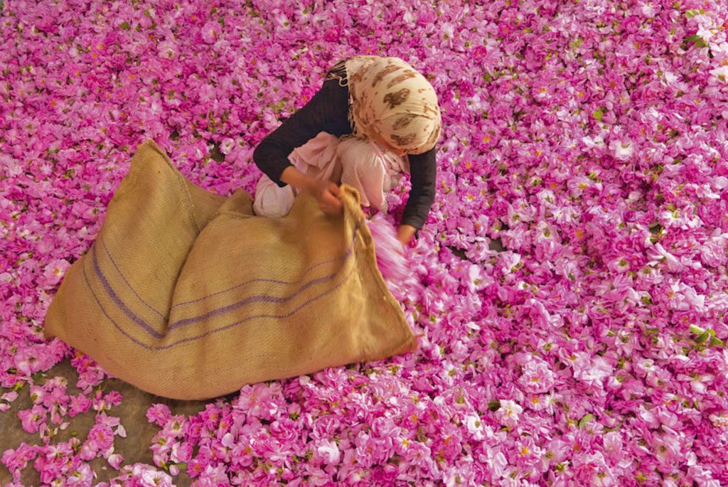 La Valle delle Rose in Marocco