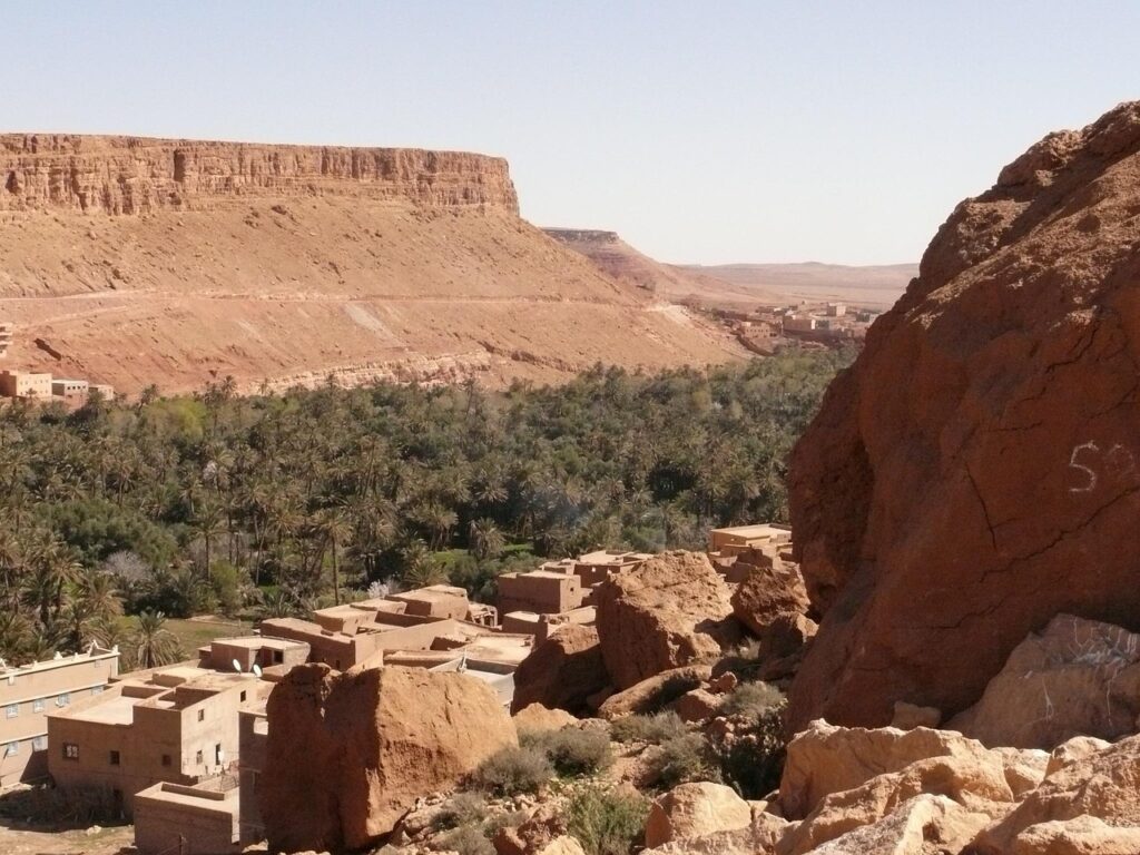 morocco, nature, desert, oasis