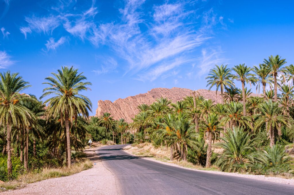 5 Days Tour from Marrakech to Fes