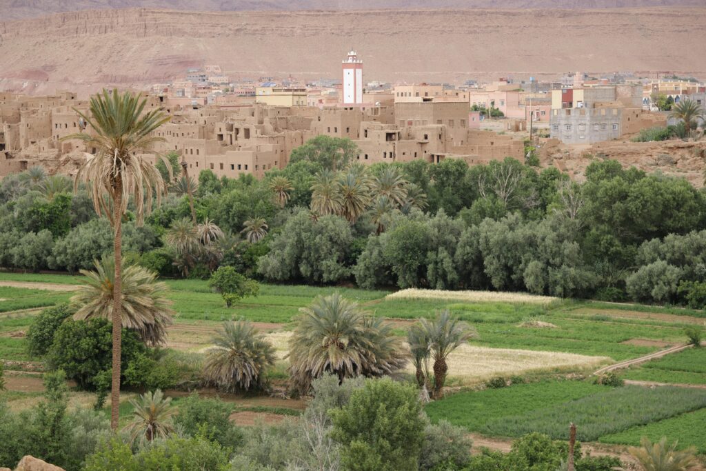 12 days private tour from Casablanca