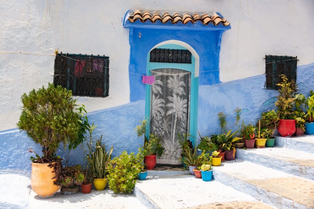 A quaint blue doorway surrounded by colorful planters and Mediterranean architecture.