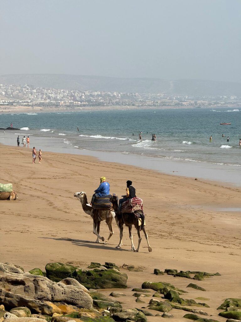 Two camels with riders walking on a sandy beach by the sea.
