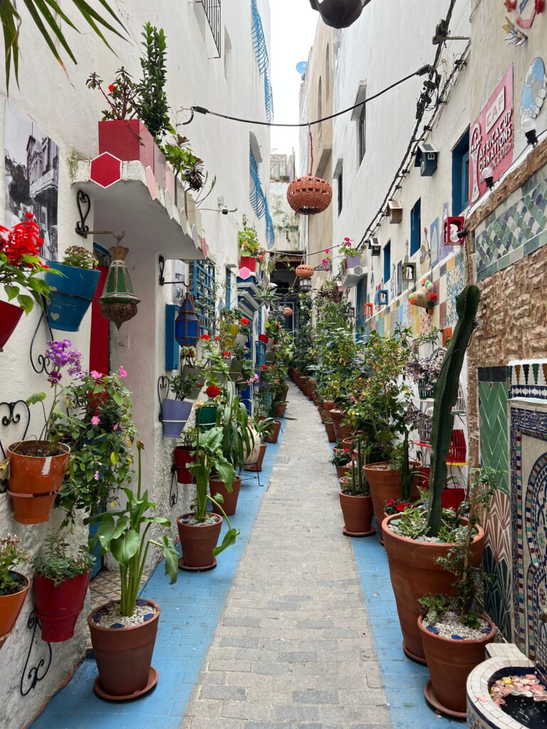 Colorful plants and pottery line a narrow alley in charming Tanger, Morocco.
