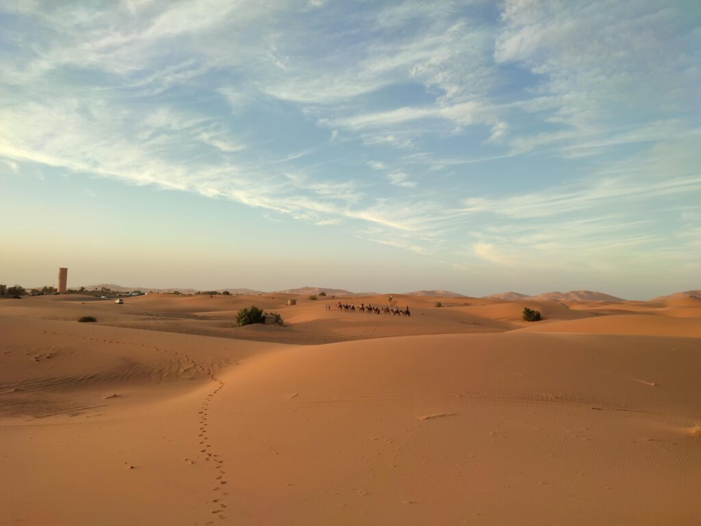 A beautiful desert scene featuring a caravan of camels traveling across sand dunes under a vast sky.
